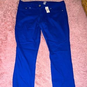 Never worn! Cobalt Blue jeans! Size 13!